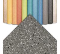 CV Xtreme - Revestimiento para suelo de PVC. Resistente a la abrasión. Disponible en varios colores (100 x 600 cm. Xtreme | Mira 690D)