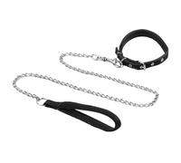 CVDYWDJIE 1 Correa para Mascotas, 1 Collar para Mascotas, Correa De Metal para Perros, Juego para Pasear Perros Al Aire Libre, Correa para Perros Antimordeduras, Accesorios para Mascotas