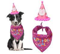 CVDYWDJIE 1 Toalla para Saliva De Mascota, 1 Gorro De Cumpleaños, Bufanda Triangular para Perros Y Gatos, Traje De Cumpleaños para Mascotas, Suministros para Fiesta De Cumpleaños
