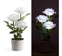 CVERY Solar Macetero Luz LED - Rosa Flor Lámpara Mesa con / 3 LED Floral - Jardín Exterior Césped Plantas Hogar Dormitorio Decorativo Mesita Escritorio Bonsái Luces - Blanco, Free Size