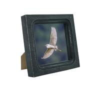 CVHOMEDECO. Marco de fotos de 4 x 4 pulgadas, hecho de madera maciza, vidrio de alta definición, diseños rústicos vintage, marco de fotos pequeño para exhibición de mesa y montaje en pared, color