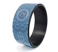 CVJdfhRE Rodillo Abdominal for Fortalecer el Torso y aliviar Dolor de Espalda - Blue Gym Equipment