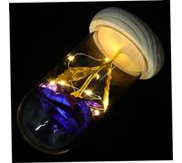 CVUTOVO Cúpula De Rosa Preservada con Luces Led Sin Batería Decoración Inmortal Regalo para Novia Centros Decorativos Mesa