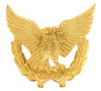 CVUTOVO Insignia de Metal de Águila de Aleación Zinc, Pin de Solapa Decorativo Grande, Accesorio Resistente y Duradero para Uniforme de Seguridad y Disfraces, Acabado Pulido