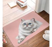 CWCMZDH Astuto Gato Frente A La Puerta De La Estera Antideslizante Al Aire Libre De Secado Rápido Tapete De La Sala De Entrada Alfombra De La Alfombra