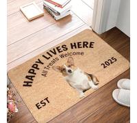 CWCMZDH Corgi Perro Felpudo Antideslizante De Entrada, Cocina, Baño Puerta Estera En El Piso De La Sala Alfombra De Bandolero