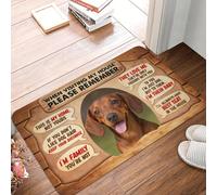 CWCMZDH Cuando De Visita En Mi Casa por Favor Recuerde Dachshund Perro Frente A La Puerta De La Estera Antideslizante En La Cubierta De La Estera del Jardín De La Entrada del Garaje De Alfombra