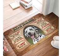 CWCMZDH Cuando De Visita En Mi Casa por Favor Recuerde Dálmata Felpudo Antideslizante En Baño Cocina Mat Jardín Garaje Piso De La Puerta De Entrada, Alfombras Y Tapetes