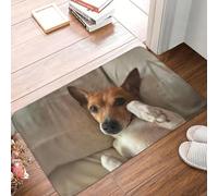 CWCMZDH Divertido Jack Russell Terrier Meme Frente A La Puerta del Piso De La Entrada De La Estera Al Aire Libre, Amante De Perro, Baño Cocina Tapete De La Sala De Alfombras Y Tapetes