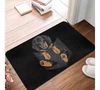 CWCMZDH Divertido Perro Salchicha Puerta Estera Antideslizante Interior Absorbente Salchicha Tejón Wiener Perro De La Estera del Piso De La Entrada del Cuarto De Baño Alfombra