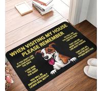 CWCMZDH Espiando Perro Jack Russell Terrier Puerta Estera Antideslizante Impermeable Al Aire Libre De La Estera del Balcón En La Cocina De Entrada Alfombra De La Alfombra