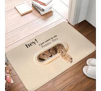 CWCMZDH Hola Solo Quiero Decir Feliz Día de Chita Pattren Puerta Estera Antideslizante al Aire Libre Felpudo de la Cocina Balcón de Entrada Alfombra de la Alfombra