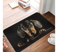CWCMZDH Personalizado Dachshund Perro De La Puerta De Piso del Baño De La Cocina De La Estera Antideslizante Mascotas Al Aire Libre De Los Animales Tapete De Baño Entrada De Alfombras Y Tapetes