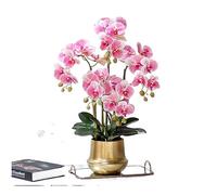 CWLPSL Flores Artificiales Flor Falsa Phalaenopsis Flor de simulación, Flor Decorativa de Alta Gama, Arreglo Floral de Ramo de Lujo Ligero, Decoración de Dormitorio (Blanco, Grande)
