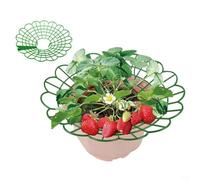 CWOQOCW Soporte para plantas de fresa, paquete de 10 soportes para marco de cultivo de fresas, bandeja de plantas, soporte protector de frutas para jardín, protección del suelo al aire libre