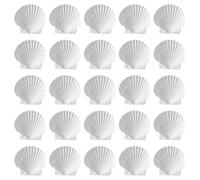 CWPFVQA 25Pcs Decoración De Conchas, Decoración del Hogar DIY, Conchas Artesanales, Decoración De Conchas DIY, Decoración De Elementos Marinos