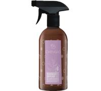 CXEVALO Spray de Limpieza - 500 ml CXEVALO