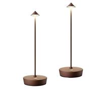 CXYWBD Rechargeable Portable Touch Table Lamp, Color Lighting Outdoor Waterproof, Patio/Restaurant/Home, Rust 2 Pack Suitable for bedrooms, Living Rooms, Offices, Book