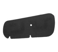 cyclingcolors 1x Filtro de Aire de Espuma Compatible con HONDA PANTHEON 125-150CC 1998-2002motor de filtración scooter motocicleta caja de aire