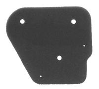 cyclingcolors 1x Filtro de Aire de Espuma Compatible con MALAGUTI CENTRO F10 F12 50CCmotor de filtración scooter motocicleta caja de aire
