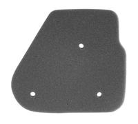 cyclingcolors 1x Filtro de Aire de Espuma Compatible con NITRO AEROX OVETTO NEOS FLIPPER MACH G F10 Caja de Aire Filtración del carburador motocicleta Scooter Motor