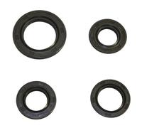 cyclingcolors 4x Retén aceite juntas tóricas para motor de motocicleta, scooter, ciclomotor, compatible con GY6 139QMB, Peugeot, Kisbee V Clic, Sym Orbit, Baotian BT49QT y Kymco Agility.