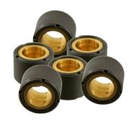 cyclingcolors 6x Rodillos de variador 16x13 mm 4,7 gr Scooter Maxiscooter Rodillos Variador Transmisión Motor