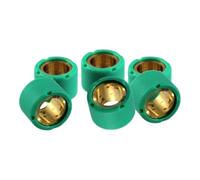 cyclingcolors 6x Rodillos de variador 17x12 mm 6 gr Scooter Maxiscooter Rodillos Variador Transmisión Motor