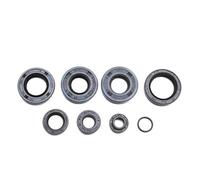 cyclingcolors 8x Retén de aceite para motor de motocicleta, scooter, ciclomotor, compatible con Minarelli AM6, Aprilia RS Beta RR, MBK, Rieju RR, SMX, RS1 Spike, Yamaha DTR TZR.