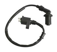 cyclingcolors Bobina de encendido moto ciclomotor scooter compatible con gy6 152qmi sym hd evo joyride