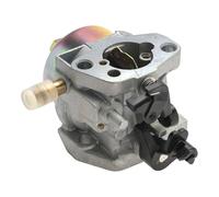 cyclingcolors Carburador adaptable compatible con Loncin 1P61 sustituye la referencia original 170430057-0001 - Pieza de recambio para motor térmico