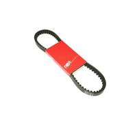 cyclingcolors Correa de transmisión motor dentada motocicleta scooter ciclomotore compatible con PIAGGIO TYPHOON NRG GILERA STALKER, ICE, RUNNER/APRILIA SR/DERBI ATLANTIS GP1 (805 x 18,7 x 8,5 x 30)