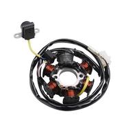cyclingcolors Estator bobina de encendido del motor de motocicleta scooter ciclomotor compatible con peugeot 50 tkr trekker speedfight vivacity buxy xfight elyseo looxor pgo big max