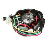 cyclingcolors Estator bobina de encendido del motor de motocicleta scooter ciclomotor compatible con am6 minarelli derbi senda 80w sans platine