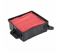 cyclingcolors Filtro de aire para motocicleta, ciclomotor y scooter compatible con kymco agility 12 pouces 125 dj s équivalent HFA5007 00163916/17211-LDF7-B000
