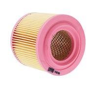 cyclingcolors Filtro de aire para motocicleta, ciclomotor y scooter compatible con yamaha 125 majesty maxter mbk skyliner malaguti madison 5DSE445100 / 487W125003