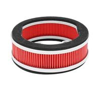 cyclingcolors Filtro de aire para motocicleta, ciclomotor y scooter compatible con yamaha 125 xenter mbk 125 oceo 52SE54080000