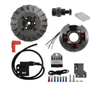 cyclingcolors kit de encendido electrónico moto ciclomotore compatible con PIAGGIO VESPA 50CC L/N/R/PK/PRIMAVERA/ET3 Ø19