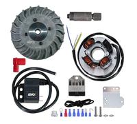 cyclingcolors kit de encendido electrónico moto ciclomotore compatible con VESPA 50 SPECIAL-50 L/N/R-PK50-125/125 PRIMAVERA-125 ET3 Ø19 - VOLANO EXTRAIT DU PLEIN