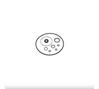 cyclingcolors Kit de reparación de bomba de dirección VPJ4004, sello de puente de eje, anillo de sello de tractor compatible con Massey Ferguson