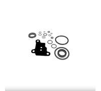 cyclingcolors Kit de reparación de cilindro de dirección VPJ4007, junta de puente de eje, anillo de sellado, tractor compatible con Massey Ferguson Landini