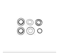 cyclingcolors Kit de reparación de cilindro de dirección VPJ4022, junta de puente de eje, anillo de sellado, compatible con tractores Massey Ferguson y Landini