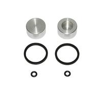 cyclingcolors Pinza de freno de pistón para motocicleta, scooter y ciclomotor compatible con AJP trasero 25x13