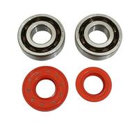 cyclingcolors Retén de aceite + cojinete de biela para moto, scooter, ciclomotor, compatible con MBK Booster Nitro, Yamaha, BW's, Aerox, Aprilia, SR CPI, Keeway 6204