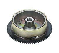 cyclingcolors Rotor Estator bobina de encendido del motor de motocicleta scooter ciclomotor compatible con beta rr rieju mrt yamaha tzr mbk x power