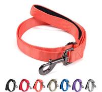 Cyclpet Correa de perro de 4 pies con mango acolchado, correas de nailon resistentes para perros pequeños, medianos y grandes, gigantes, caminar, entrenar, senderismo, correr, acampar, etc. (coral