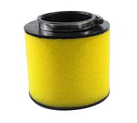 Cyleto Filtros de Aire para Honda 300 Fourtrax 350 Rancher TRX350FE TRX350FM TRX 350 TE TRX350TM TRX400 Rancher AT TRX450S 450ES Foreman 17254-HN5-670