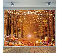 CYLYH Fondo de fotografía de otoño de 8x6 pies de otoño de otoño de hojas de bosque de arce de calabaza fondo de fiesta de fiesta de Acción de Gracias suministros de fiesta de granja de cosecha de eventos Banner de Acción de Gracias Foto Booth Props CY579