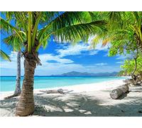 CYLYH Telón de fondo de playa tropical de verano de 7 x 5 pies, para fotografía, puesta de sol, playa, playa, océano, fondo para boda, fiesta de cumpleaños, baby shower, D428