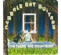 Cymbals Eat Guitar - Why There Are Mountains